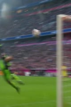 德甲联赛 斯图加特VS法兰克福 20241111