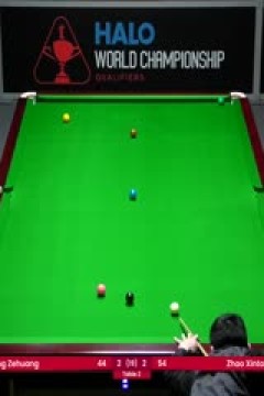 斯诺克世锦赛资格赛96进64龙泽煌5-4赵心童(第一阶段)20250410