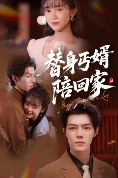 替身丐婿陪回家