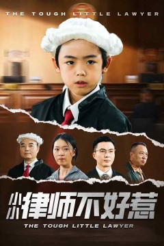 小小律师不好惹