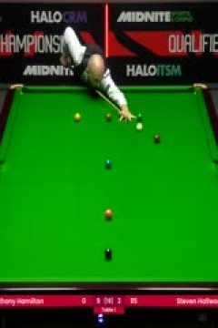 斯诺克世锦赛资格赛96进64安东尼·汉密尔顿10-8斯蒂芬·霍尔沃斯(第二阶段)20250411