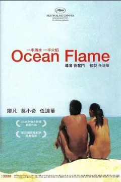 一半海水一半火焰2008