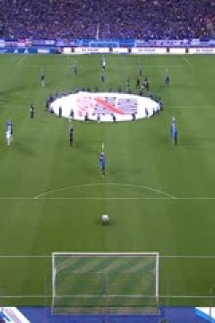 法甲联赛 斯特拉斯堡VS勒阿弗尔 20250518