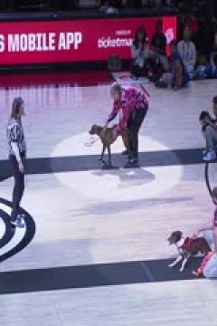 NBA常规赛 火箭VS开拓者 20250119