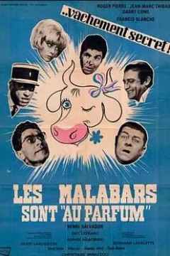 Les malabars sont au parfum