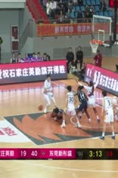 WCBA常规赛A组 石家庄英励VS东莞新彤盛 20241116