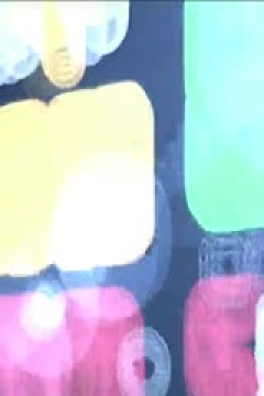 WCBA常规赛 四川远达美乐VS福建盼盼食品 20240310(原声)