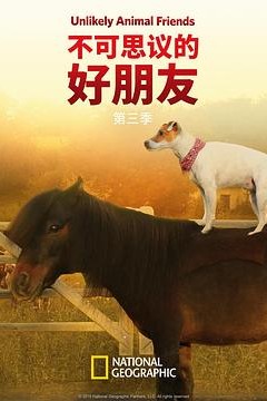 不可思议的好朋友第三季