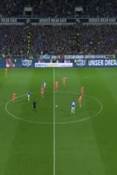 德甲  达姆施塔特vs波鸿 20231103(王子睿)