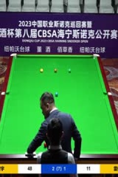 斯诺克刘宏宇4-2雷佩凡20230517(李照)