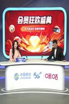 英超联赛 富勒姆VS切尔西 20250420