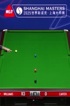 2025斯诺克上海大师赛第二轮马克·威廉姆斯5-6阿里·卡特(朱蒙)20250730