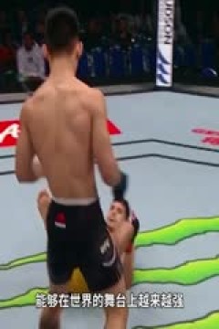 NBA常规赛 国王VS太阳 20231209