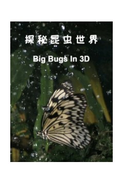 探秘昆虫世界