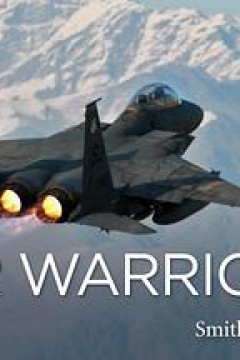 战机：空中勇士第二季