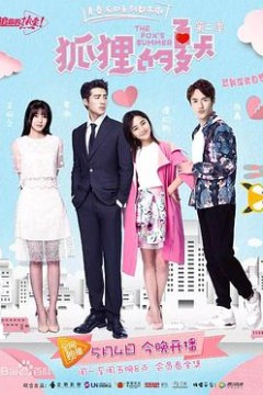 狐狸的夏天第二季