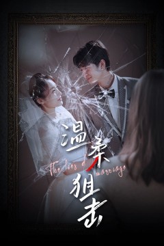 温柔狙击(婚姻迷雾)(婚姻的谎言)