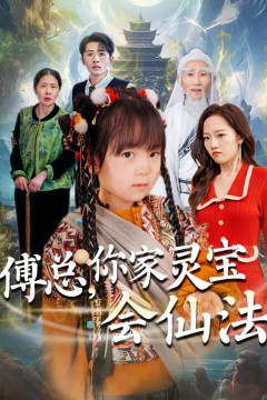 傅总你家灵宝会仙法(傅家灵宝会仙法)