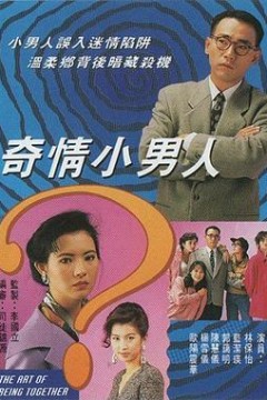 奇情小男人国语