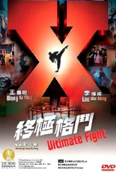 终极格斗(国语版)
