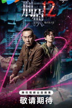 刑侦12(粤语版)