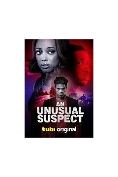 一个不寻常的嫌疑人