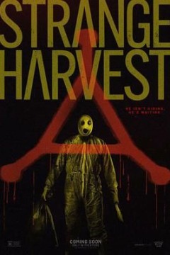 怪奇收割：超自然谋杀