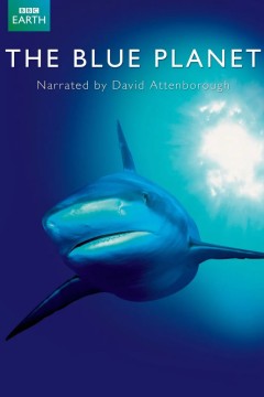 蓝色星球第一季