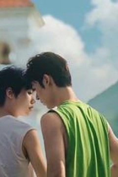 荔枝树下热烈岛电影版