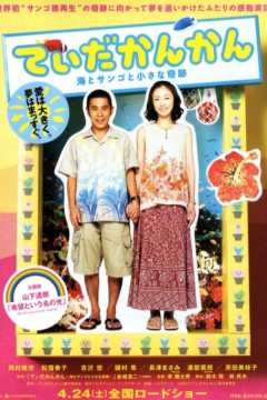 阳光灿烂大海珊瑚小小的奇迹