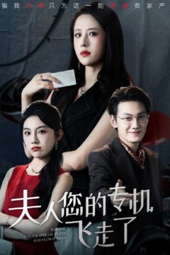 夫人您的专机飞走了