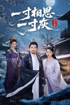 一寸相思一寸灰2025