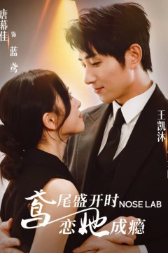 鸢尾盛开时恋她成瘾