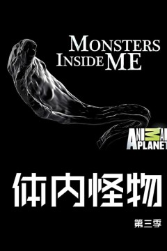 体内的怪物第三季
