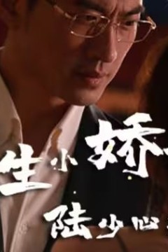 重生小娇妻，陆少心尖宠