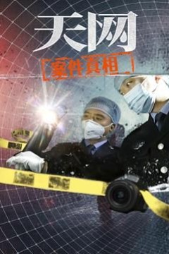 天网：案件真相