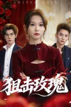 狙击玫瑰(她本深情)