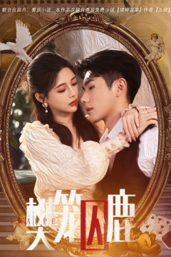 偏执大佬的金丝雀