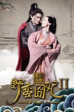 野蛮囧妃2：迷雾重重