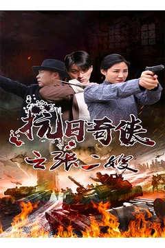 抗日奇侠之张二嫂