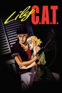 灵猫 C.A.T