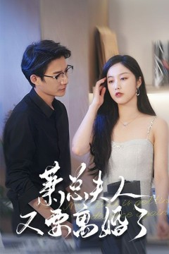 萧总夫人又要离婚了