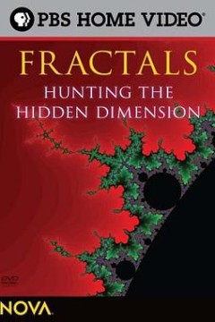 寻找隐秘的维度