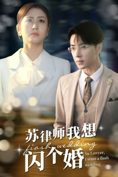 苏律师我想闪个婚(苏大律的社畜女友)