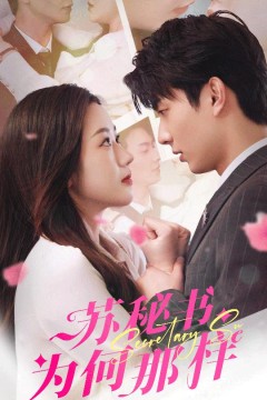 苏秘书为何那样