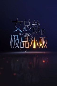 女总裁的极品小贩