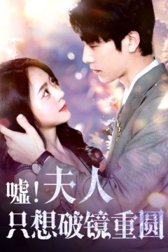 嘘夫人只想破镜重圆