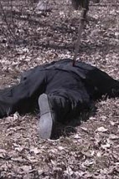 大明嫔妃之逐鹿