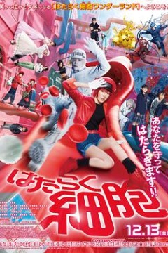 工作细胞真人版