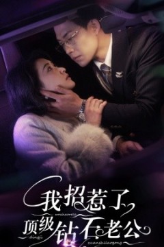 我招惹了顶级钻石老公